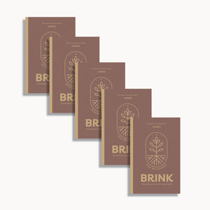 Brink Discipleship Journal - Young Adult (5-Pack) Nov/Dec