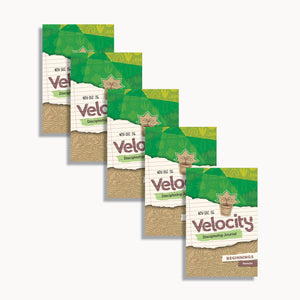 Velocity Discipleship Journal - Middle School (5-Pack) Nov/Dec