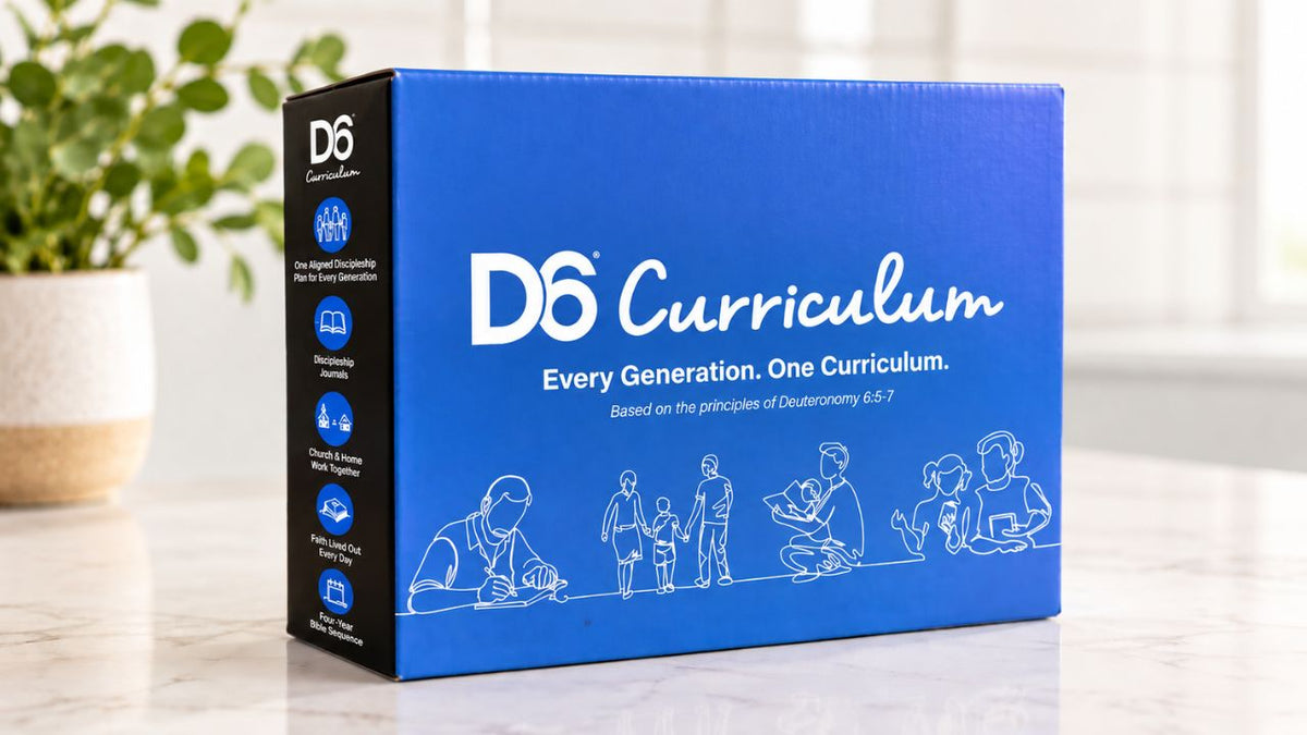 D6 Curriculum Sample Box